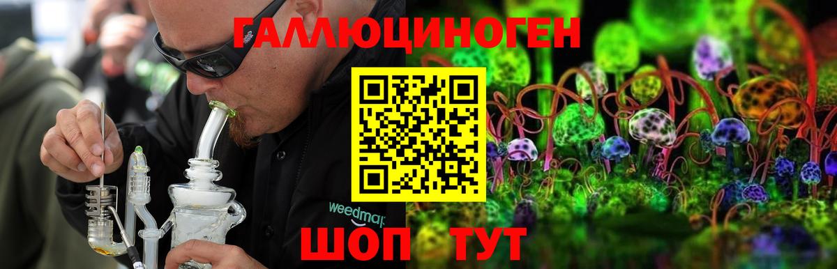 Псилоцибиновые грибы прущие грибы Нововоронеж